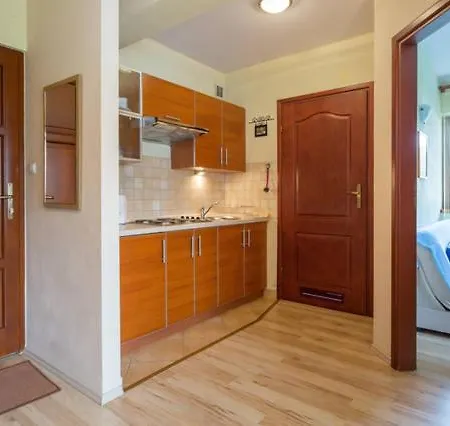 Widokowy Apartament Bor Apartment Koscielisko